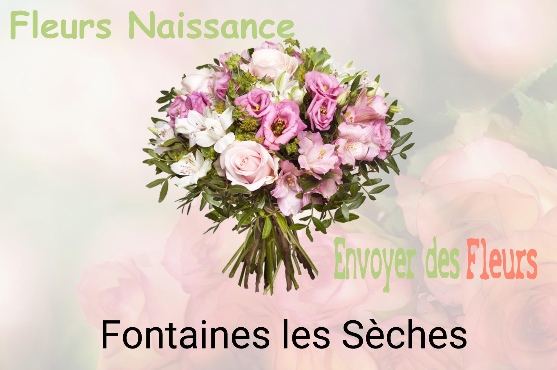 Bouquet de fleurs de naissance livré à Fontaines-les-Sèches